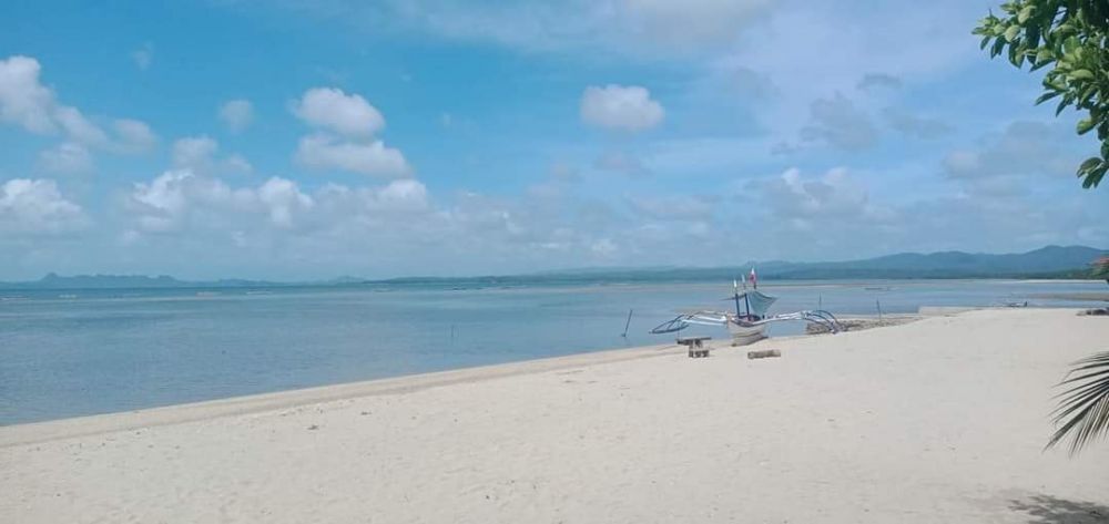 Land Whitesand Beach For Sale In Agdangan Quezon