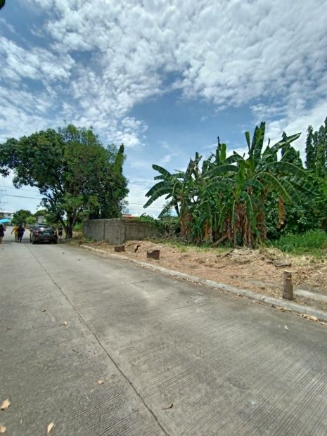 Sqm Lot In Villa Segovia Subd Sta Rosa Laguna