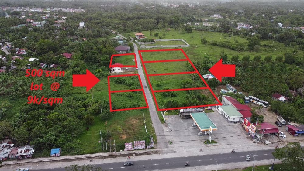 For Sale Sqm Lot In Mancruz Daet Camarines Norte Along National