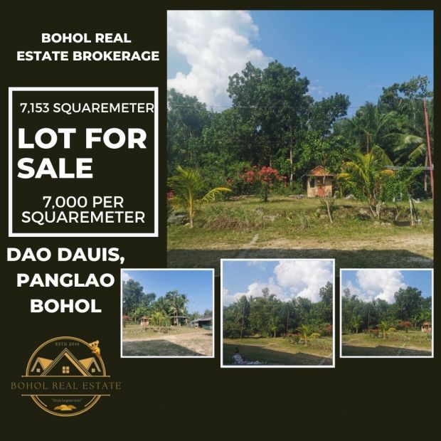 Sqm Lot For Sale In Dao Dauis City Bohol