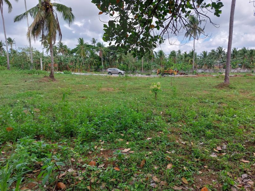 Farm Lot For Lease In Magallanes Cavite For Vacation Rental Business