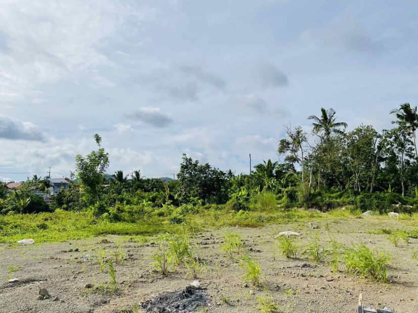 Agricultural Lot For Sale With Tagaytay Weather Located At Alfonso Cavite