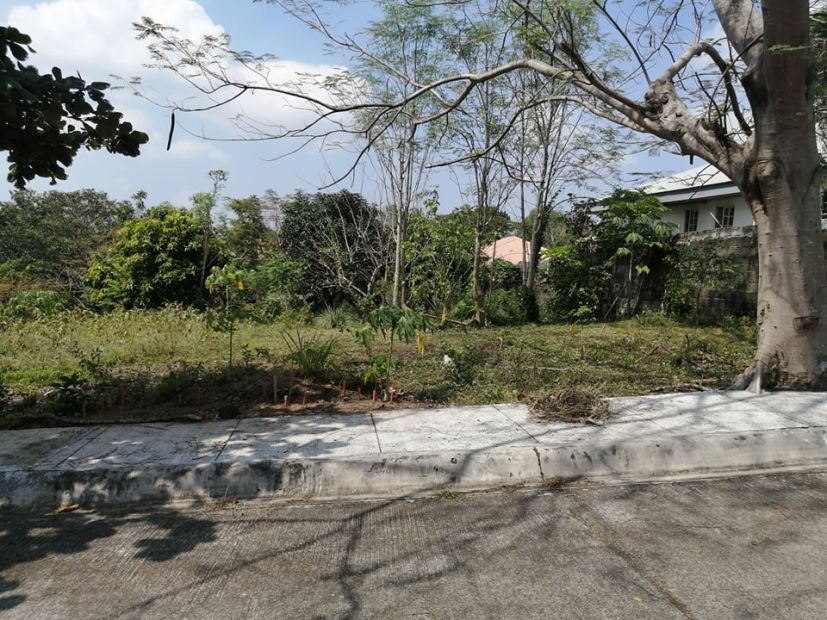 For Sale Residential Vacant Lot At South Peak San Pedro Laguna