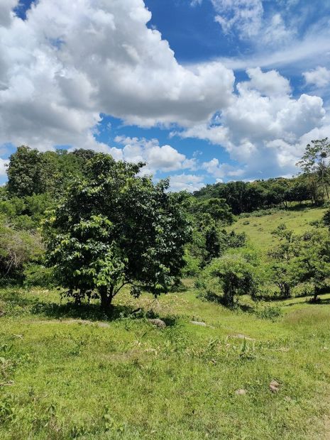 Hulugang Lupa Sa Antipolo Lot For Sale At San Jose Antipolo Rizal