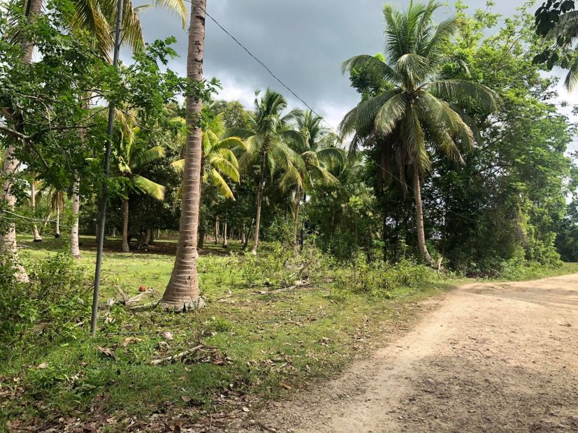 Lot For Sale In Alburquerque Bohol