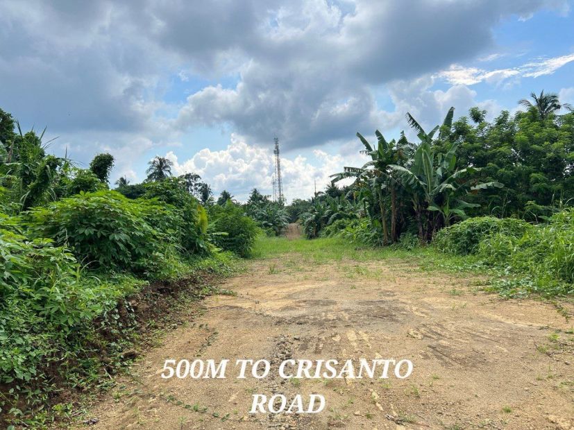 Sqm Gated Farm Lot For Sale In Amadeo Min Away From National Road