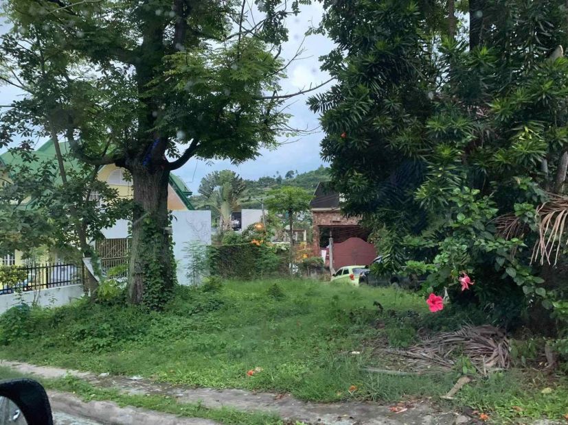 Residential Lot For Sale In Gardenville Subdivision Busay Cebu