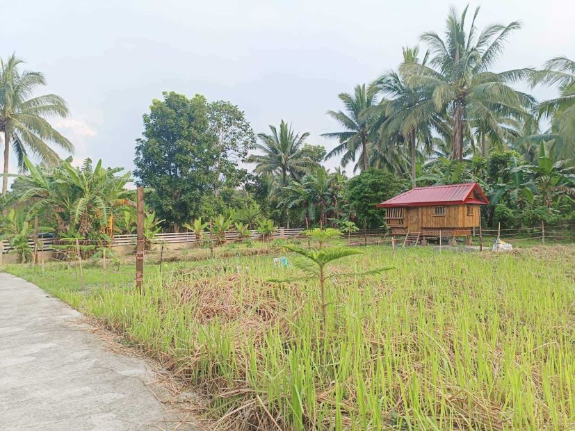 260sqm Gated Farm Lot For Sale In Banaybanay Amadeo Near Tagaytay