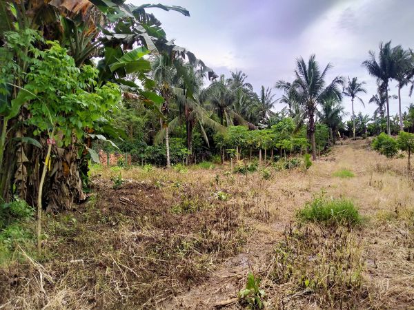 Titled Farm Lot In Silang Cavite Sqm For Sale Clean Title Near Tagaytay