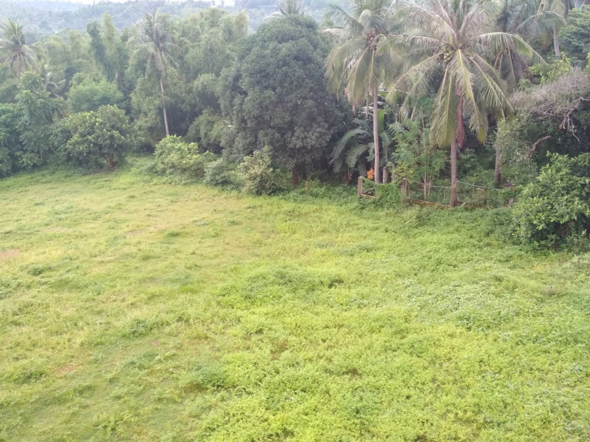 Lot For Sale In Batangas Agricultural Farm Lot Farmland Along