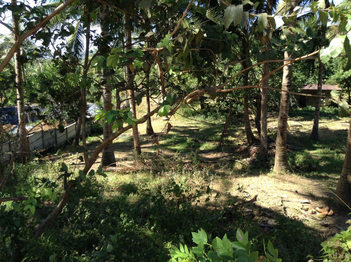 Sqm Farm Lot For Sale In Batangas Near Tagaytay Ideal Resthouse