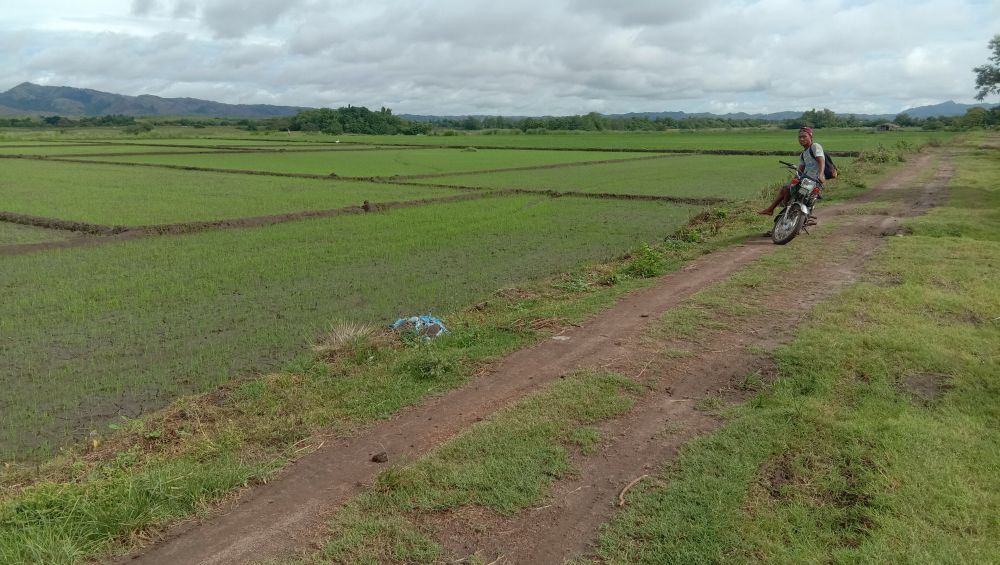 3 5 Hectares Agricultural Land For Sale