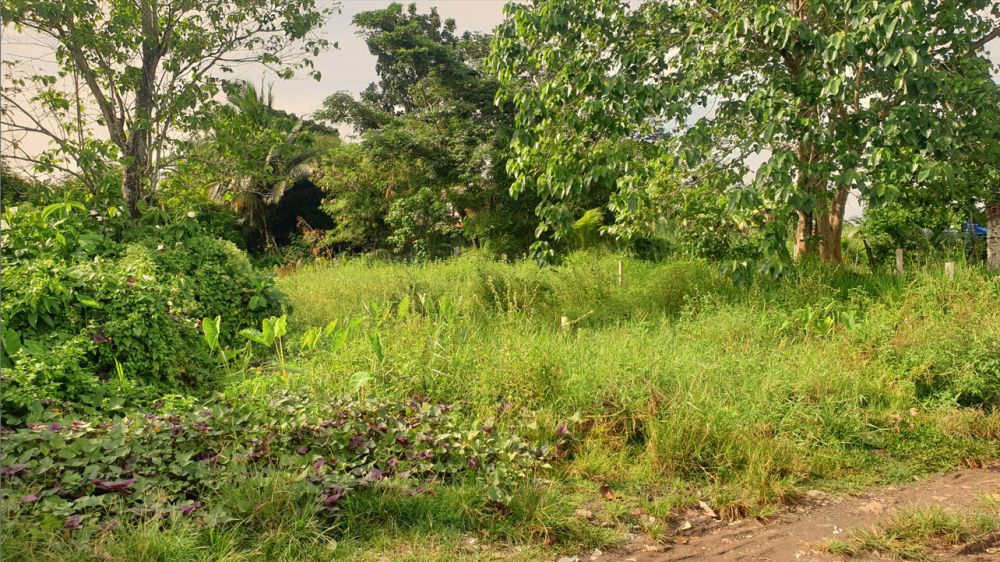 231 sqm Residential Lot for Sale in Rosario Heights, Bacolod, Negros ...