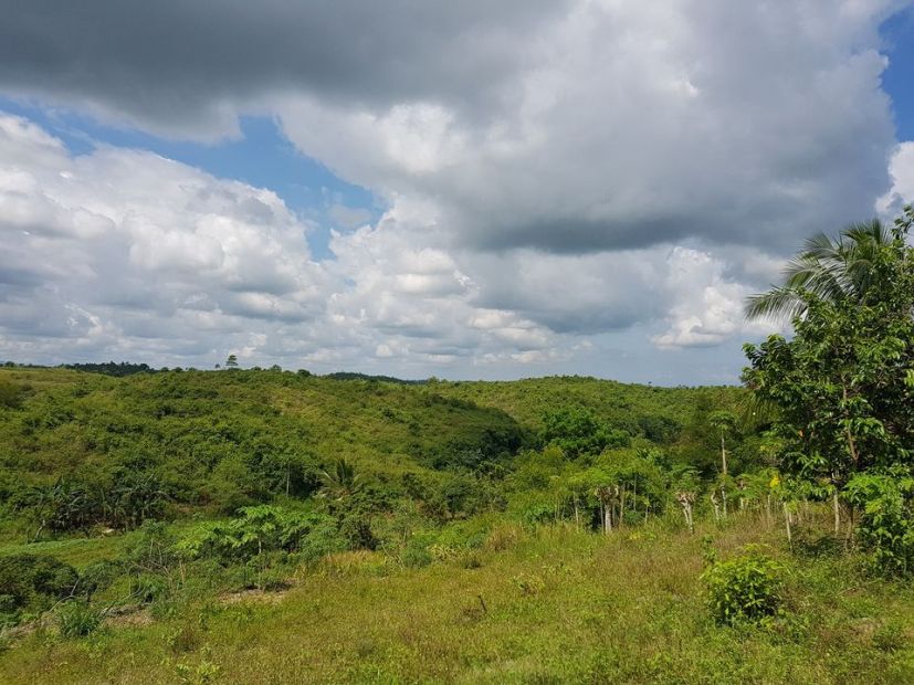 18.9 hectare property Brgy. Lugo, Borbon Cebu