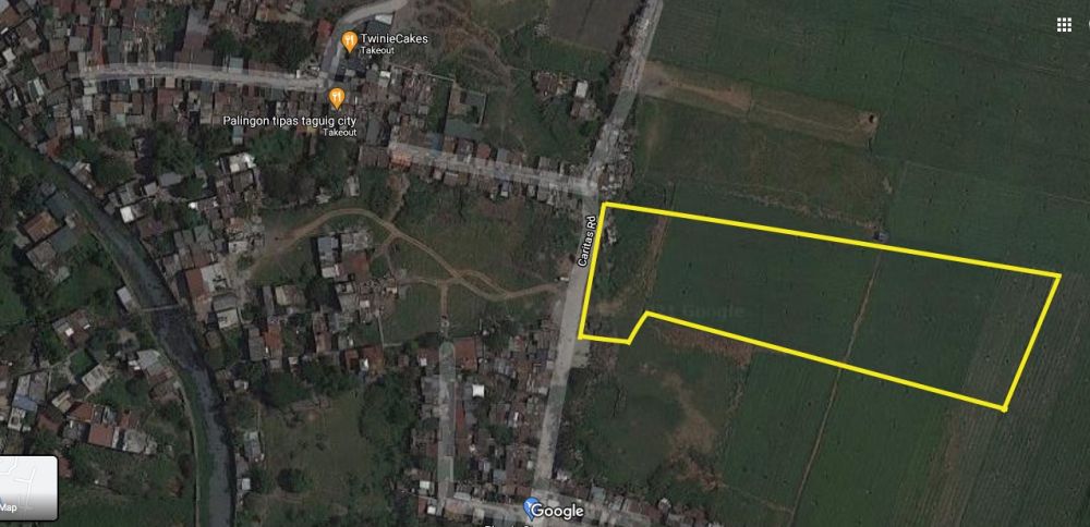 6,884 sqm Vacant lot for Sale in Ruhale, Taguig