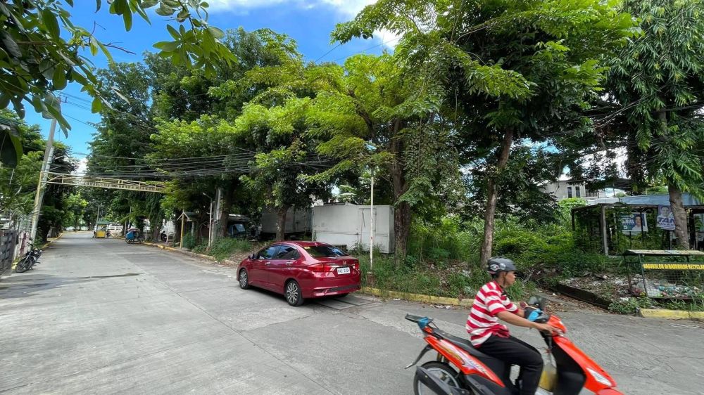 Residential Lot For Sale In Sucat Road Barangay San Isidro, Parañaque City