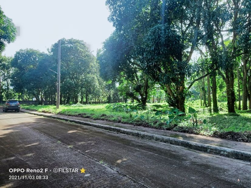 For Sale Affordable Lot in Tierra Vista Subdivision Lipa City near city
