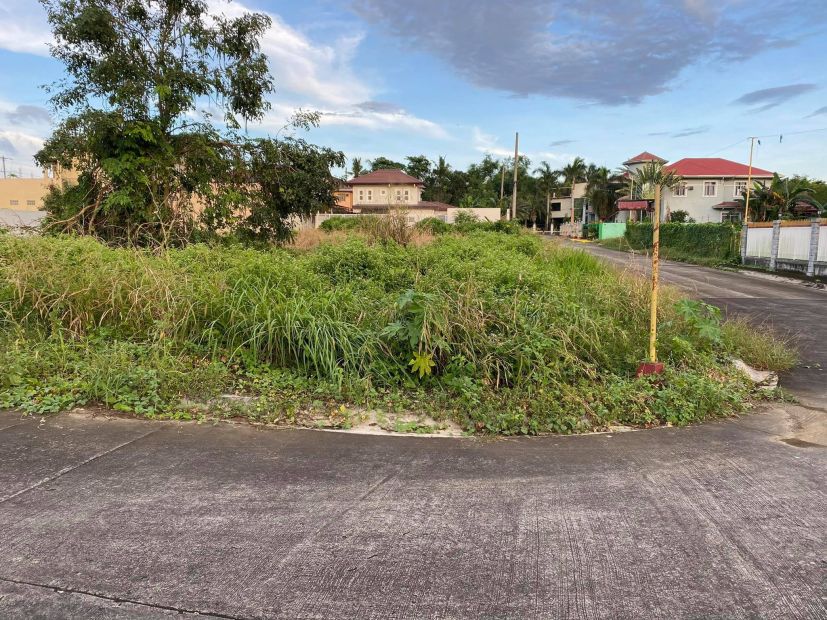 339 sqm Corner Lot for Sale in Villa Mercedes Subdivision, Batangas City