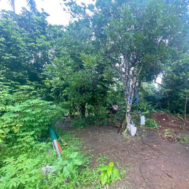 300-square-meters-residential-lot-property-in-tagaytay-for-sale