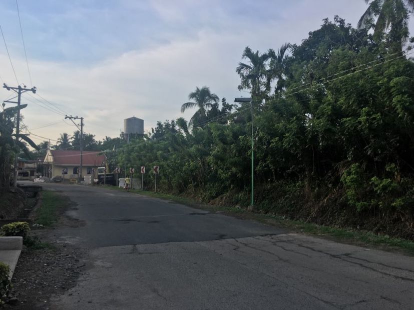 Farm Lot for Sale in Taywanak Alfonso, Cavite