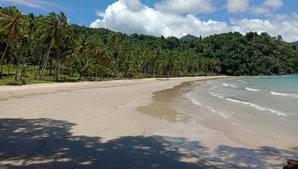 For Sale 20.9 Hectares Beach Property in Panggangan Beach, El Nido