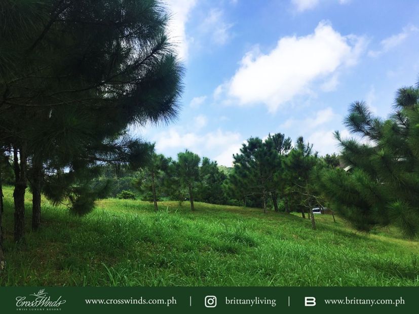 Crosswinds Tagaytay Lot For Sale 319 Sqm Located At Pine Grove 2 Crosswinds  