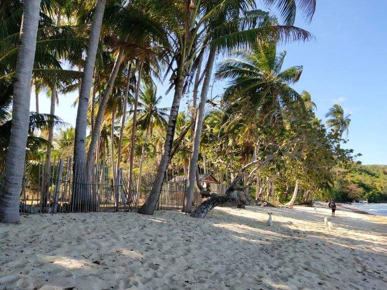 White Sand Beach Lot For Sale in Teneguiban, El Nido, Palawan