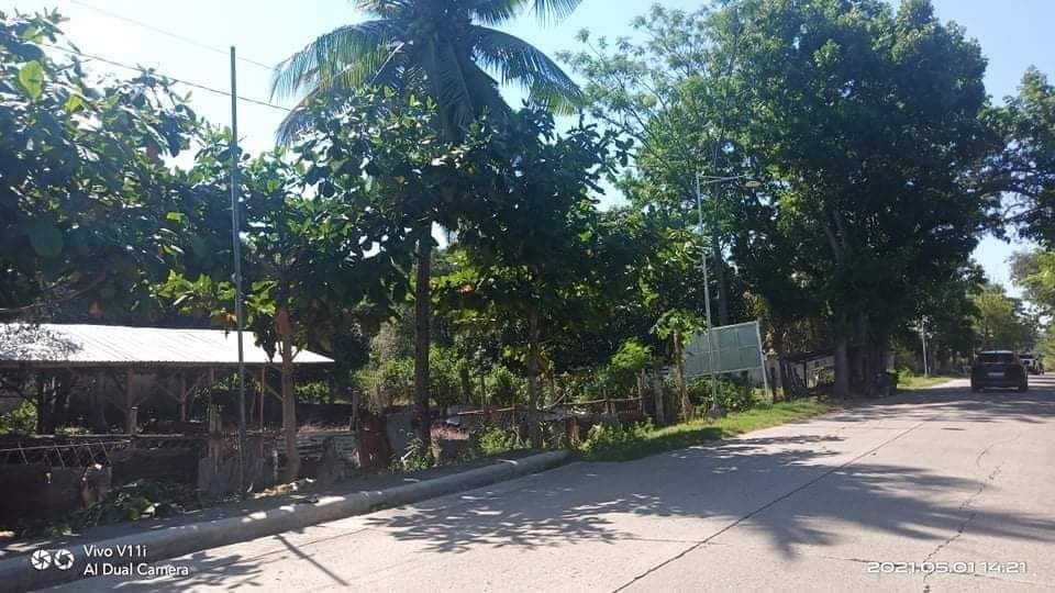 Lot Property Sale, Borbon, Cebu