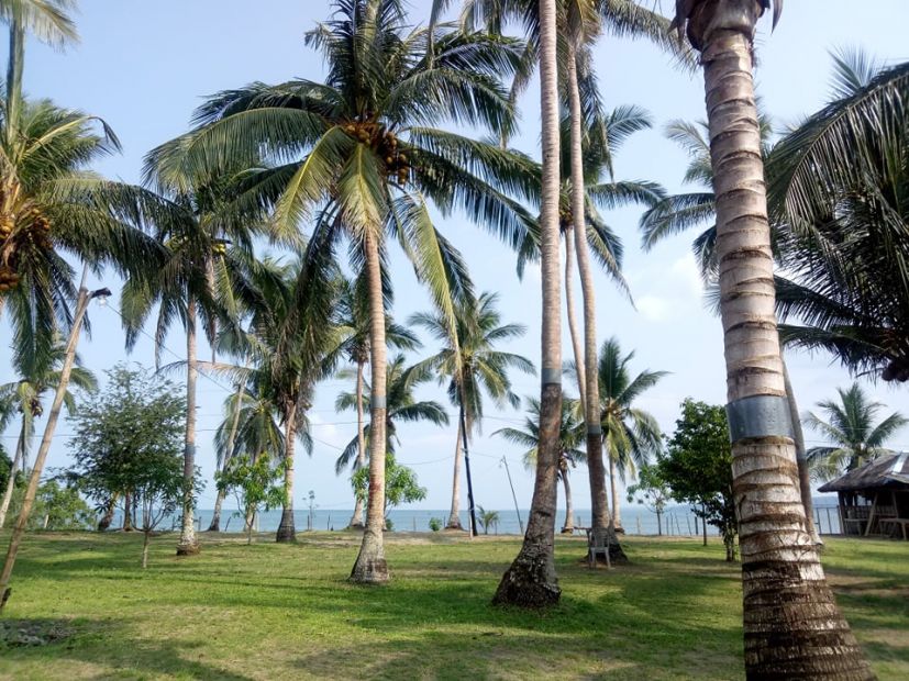 Beachfront House and Lot for Sale in Tagkawayan,Quezon