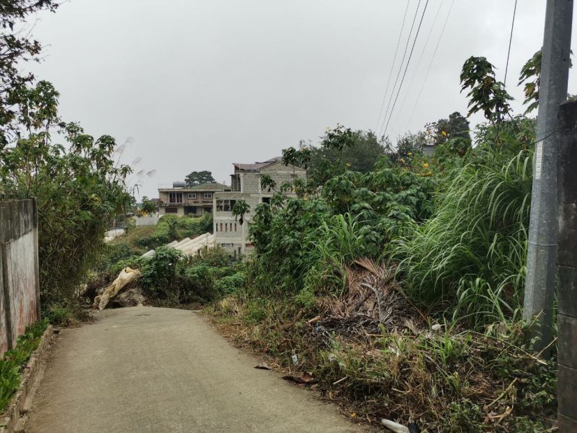 Tuba Benguet (Poblacion)1000 sq.m. lotflat with gently sloping down at ...