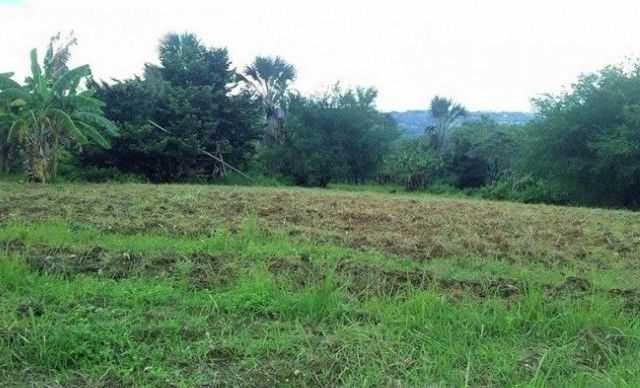 4.97 Hectares Agriculture Farm Land For Sale in Baras Rizal