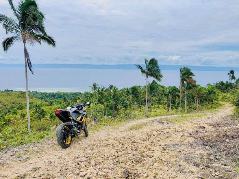 27427 Sqm Pinakabaratu Nga Lot For Sale In Loon Bohol Boundary Of