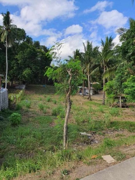 Farm Lot at San Luis Batangas