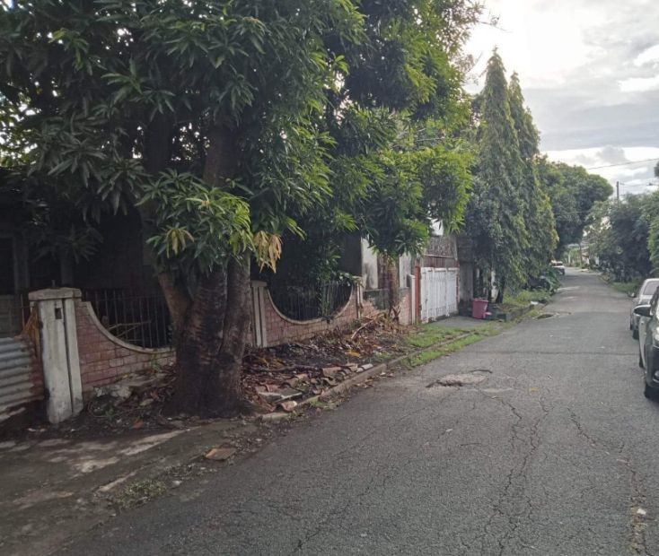 Lot for Sale with Old House in Sun Valley, Parañaque