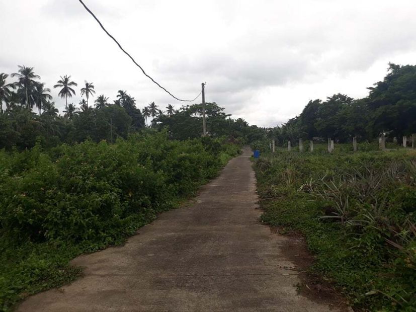 Residential Vacant Lot located for sale at Villa Adelina Subd ...