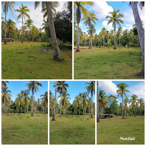 1-000-square-meters-lot