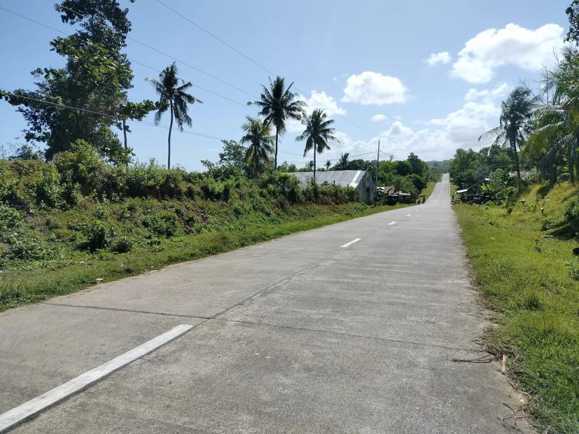 Lot for sale 1,200 sqm ideal for commercial Getafe Bohol Philippines