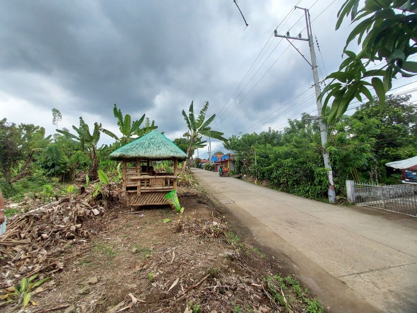 Installment Lot for Sale 150 sqm Residential Lot in Paligawan Silang Cavite