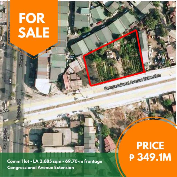 For Sale : Congressional Avenue Extension Commercial Lot in Quezon City