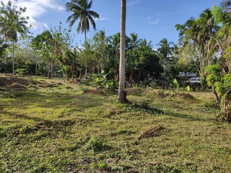 Rush Sale: 6,059 sqm Farm Lot in Castaños Lejos, Bailen City, Cavite