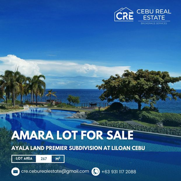 267-sq-meters-commercial-lot-for-sale-at-catarman-liloan-cebu