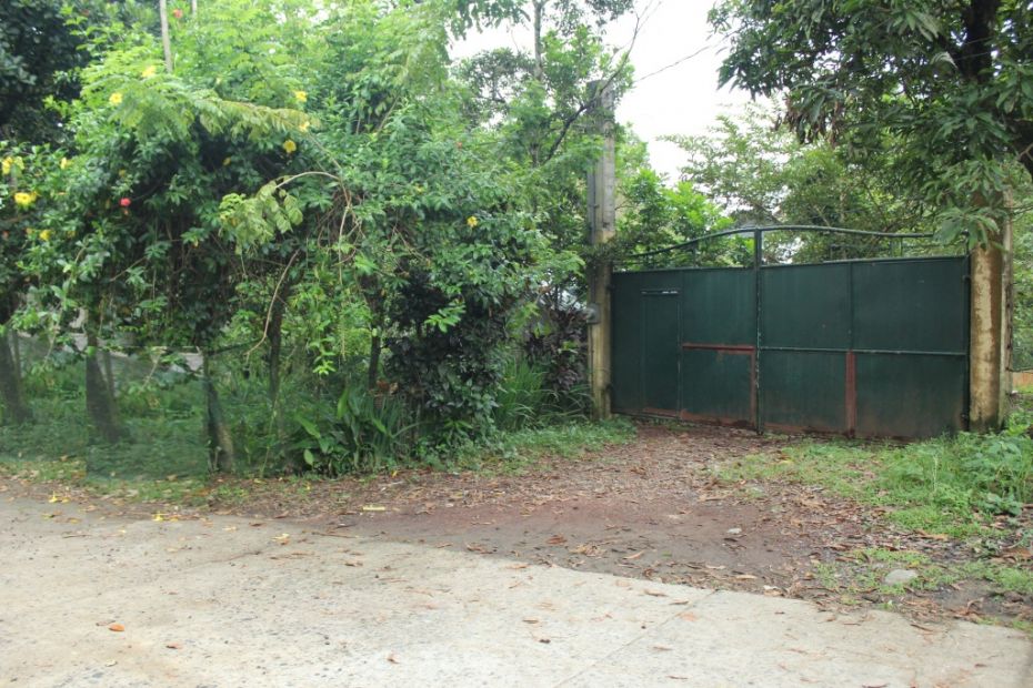 Farm Lot For Sale In Brgy. Kaymesas Alfonso Cavite