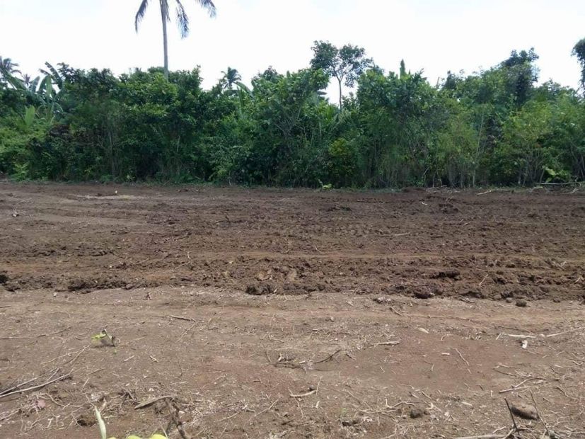 Agricultural Lot For Sale at Antipolo, Rizal