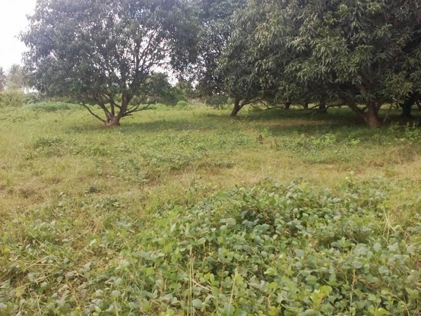 Agricultural Lot For Sale at San Jose del Monte, Bulacan in Tungkong mangga