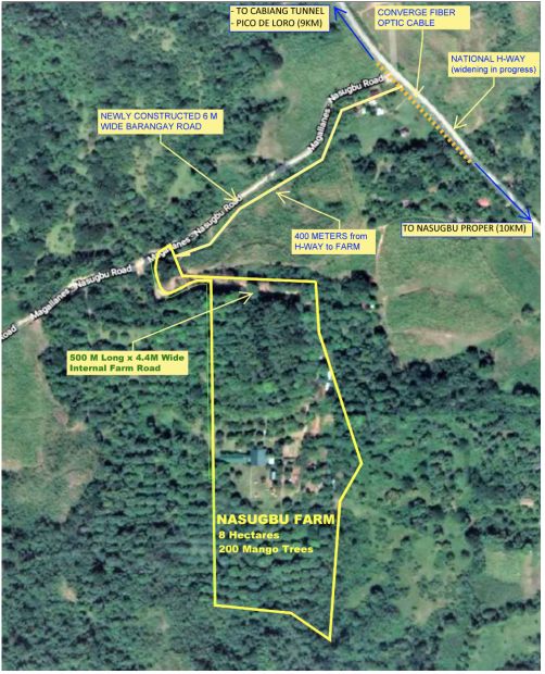 8-hectare-agricultural-farm-land-for-sale-in-nasugbu-batangas