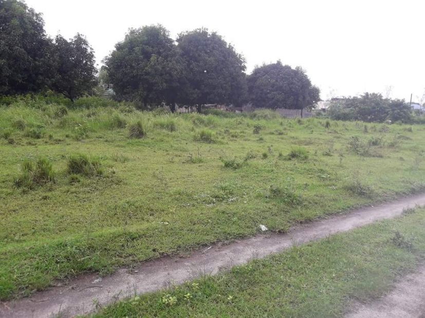 Residential Lot For Sale at Angeles, Pampanga in sta.clara sapang maisac