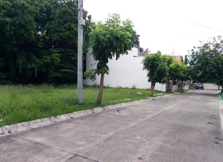 329 sqm Residential Lot for Sale in Molave Highlands, Consolacion, Cebu