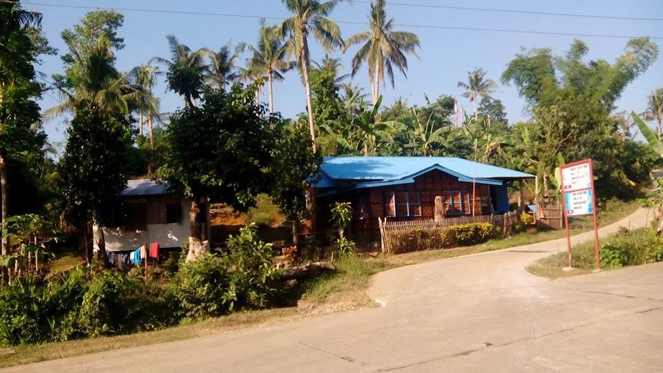 Rush Sale! 4 hectare Premium Lot Situated in Rizal Palompon Leyte.