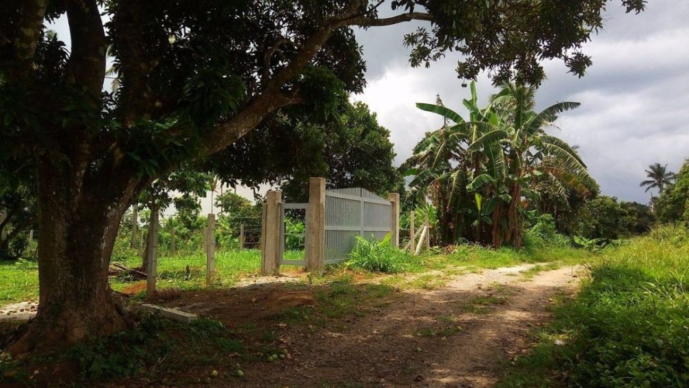 500sqm and 1000sqm affordable farm lot for sale in alfonso cavite near