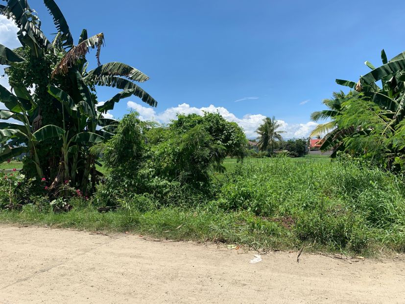 300 sqm Residential Lot @ Libertad Butuan City Urgent Sale